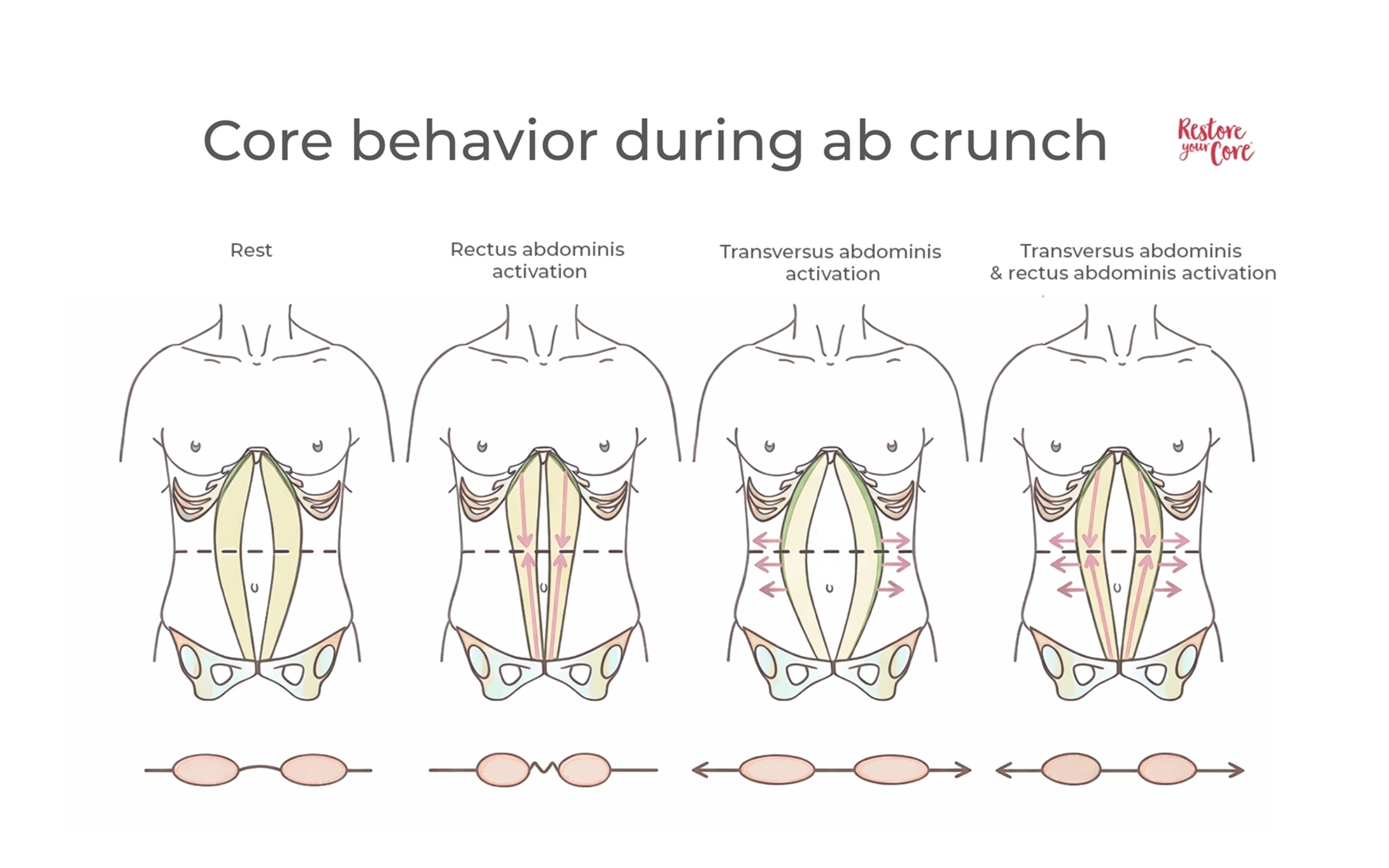 Core behavior during ab crunch – RYC®