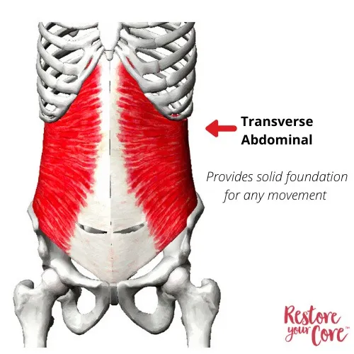 Diastasis Recti – RYC